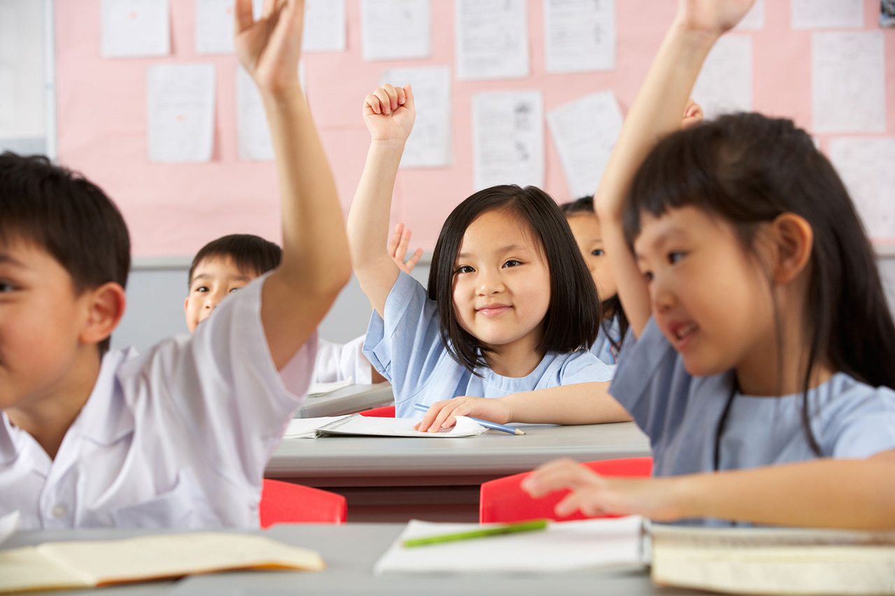 Primary School Students Rice Media